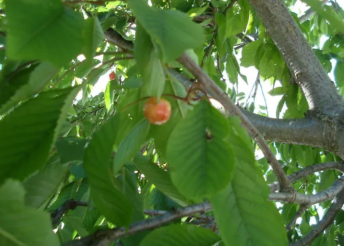 Casa Da Bela Vista Casa de Férias *